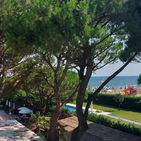 호텔 Vina Del Mar Pineta 4*